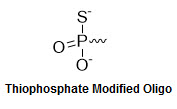 Bio-Synthesis Inc. Oligo Structure